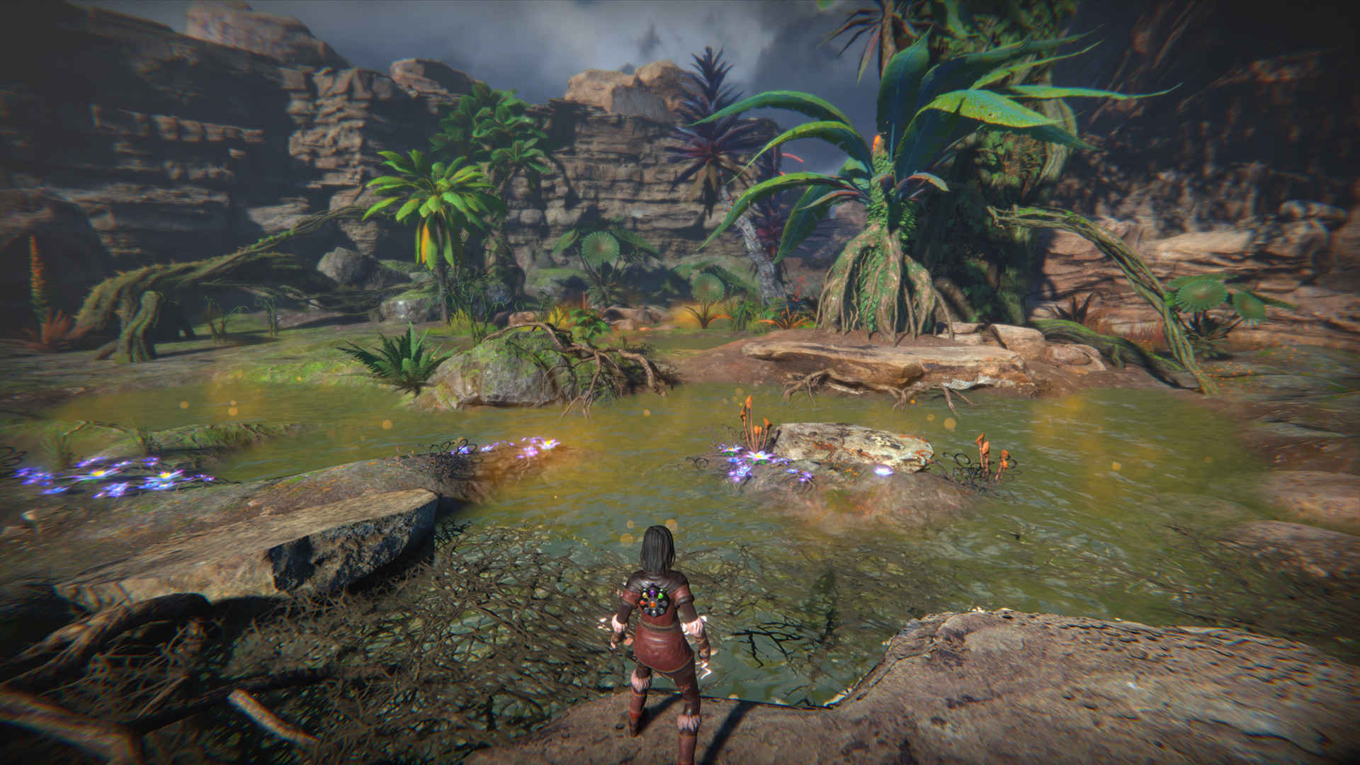 生命之种_Seed of Life