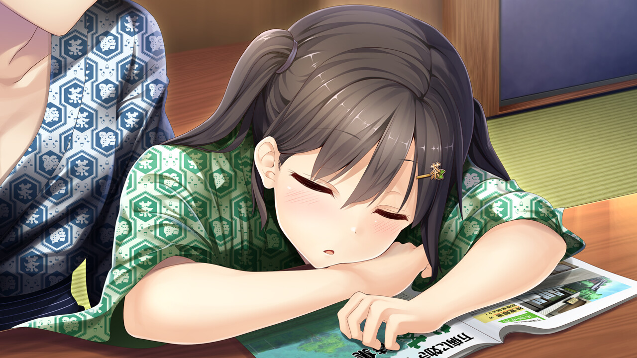 未来广播与人工鸽 V1.03 官方中文版+全CG存档