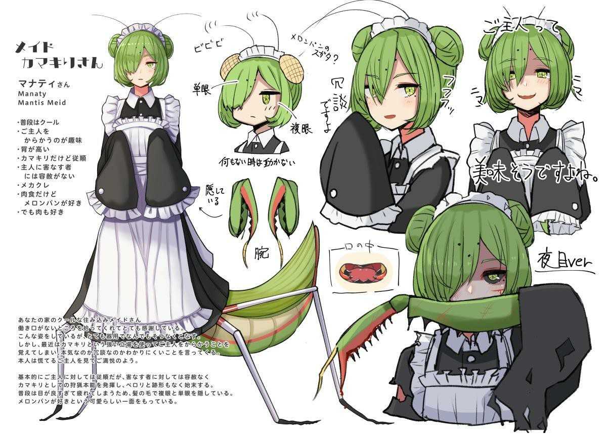 万物皆可娘化,《虫子美少女》将现实中可怕的昆虫们变可爱!第8张-皮玩部落 万物皆可娘化,《虫子美少女》将现实中可怕的昆虫们变可爱!