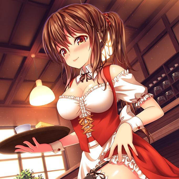 绅士本子画师《ナズナ》插画精选合集！