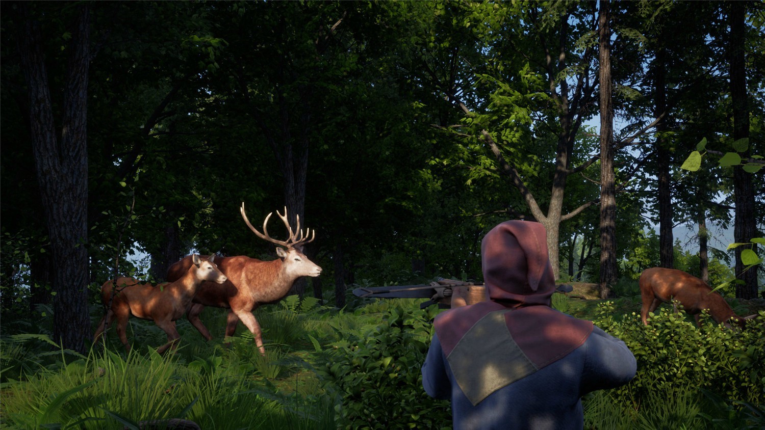 中世纪王朝_Medieval Dynasty