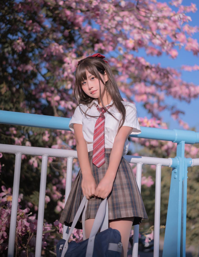 萌芽儿o0 异木棉花