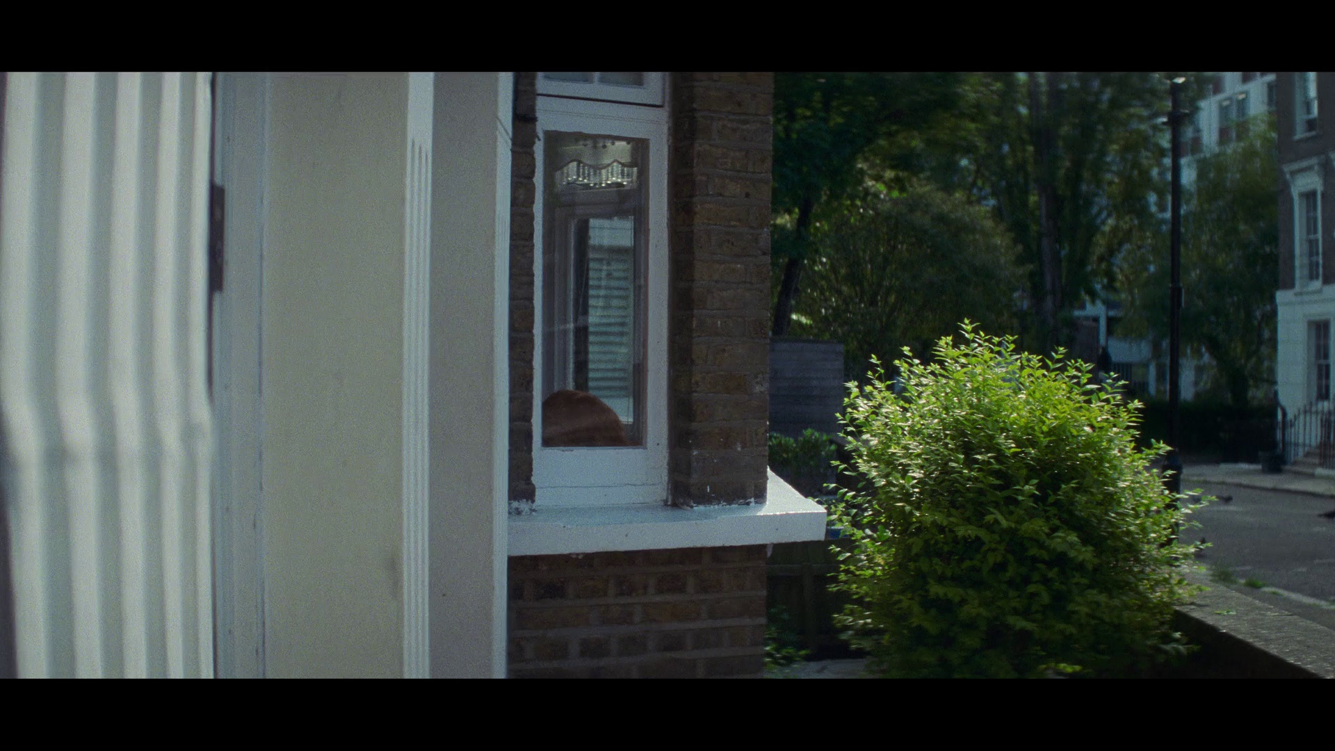 攻心谍战 / 石之心 / 铁石心肠