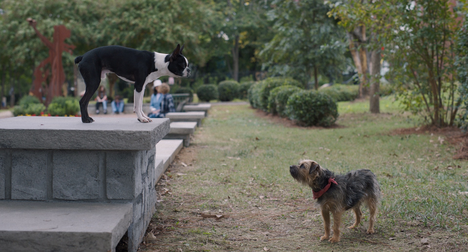 复仇狗联盟/流浪狗 / 复仇戆狗联盟(港)-2 复仇狗联盟/流浪狗 / 复仇戆狗联盟(港)
