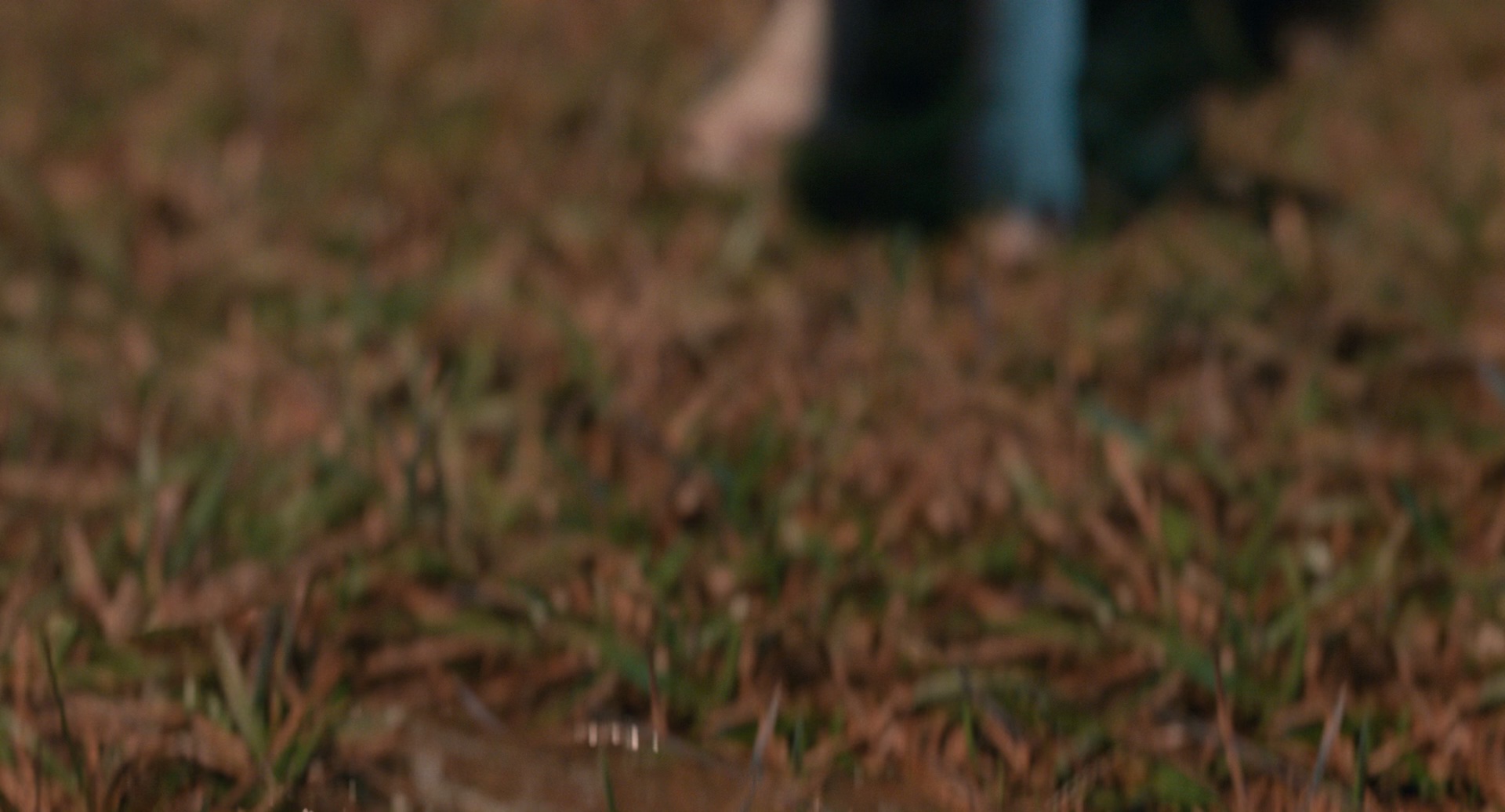 复仇狗联盟/流浪狗 / 复仇戆狗联盟(港)-3 复仇狗联盟/流浪狗 / 复仇戆狗联盟(港)