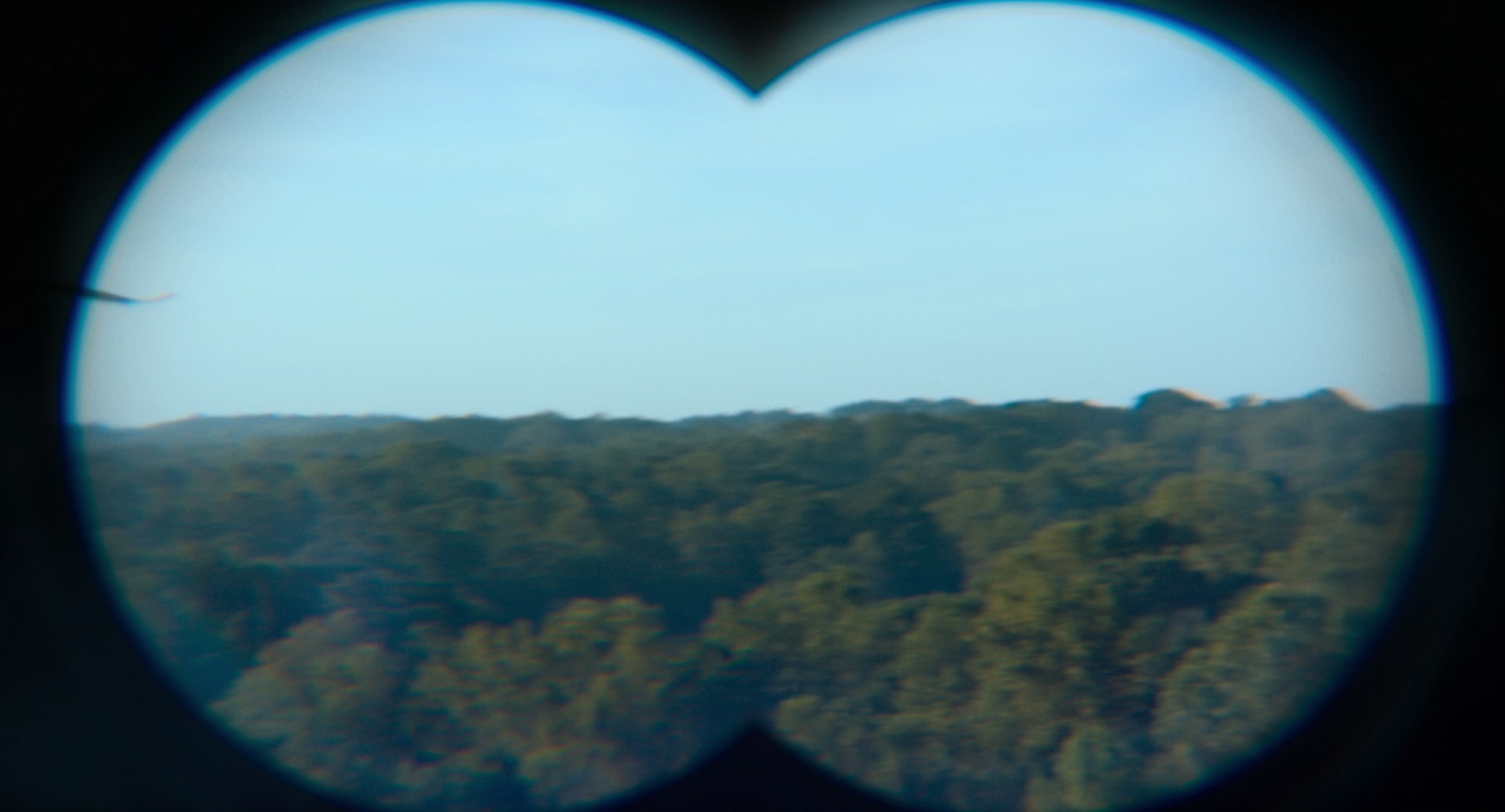 复仇狗联盟/流浪狗 / 复仇戆狗联盟(港)-4 复仇狗联盟/流浪狗 / 复仇戆狗联盟(港)