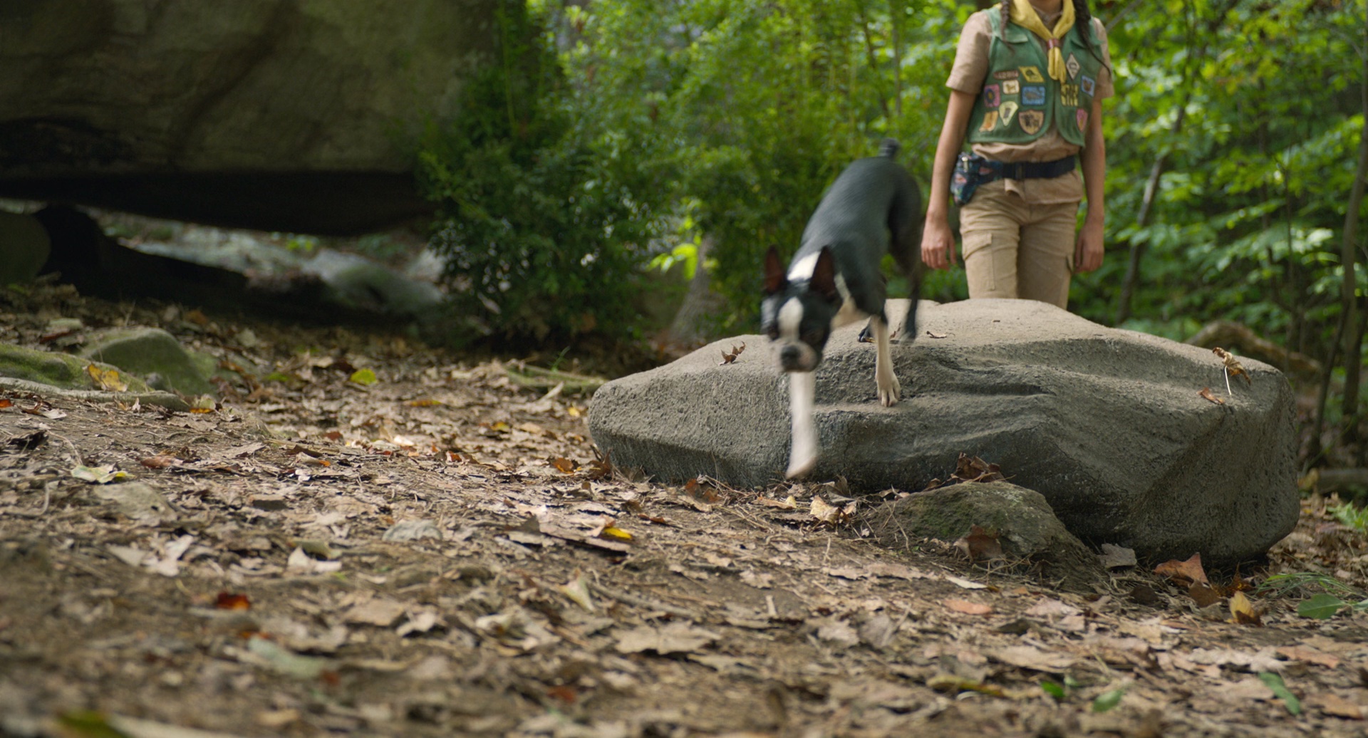 复仇狗联盟/流浪狗 / 复仇戆狗联盟(港)-6 复仇狗联盟/流浪狗 / 复仇戆狗联盟(港)