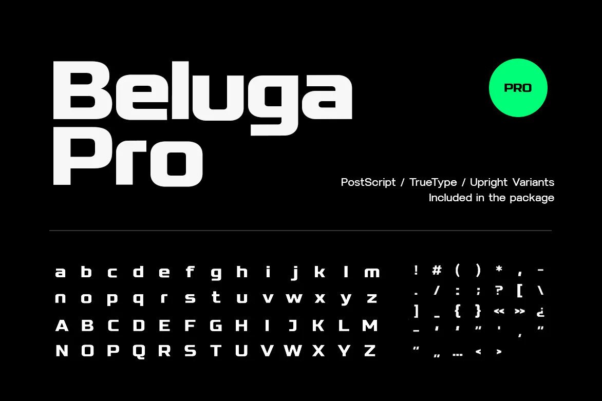 时尚简约的设计无衬线英文字体 Beluga - Modern Sans-Serif Font family