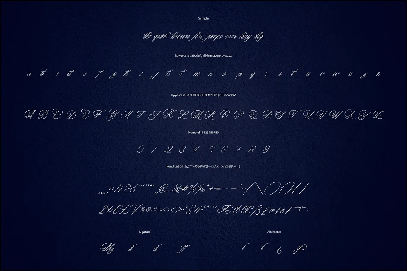 非常漂亮的书法风格手写字体 Marllamoy - Modern Calligraphy-2 非常漂亮的书法风格手写字体 Marllamoy - Modern Calligraphy