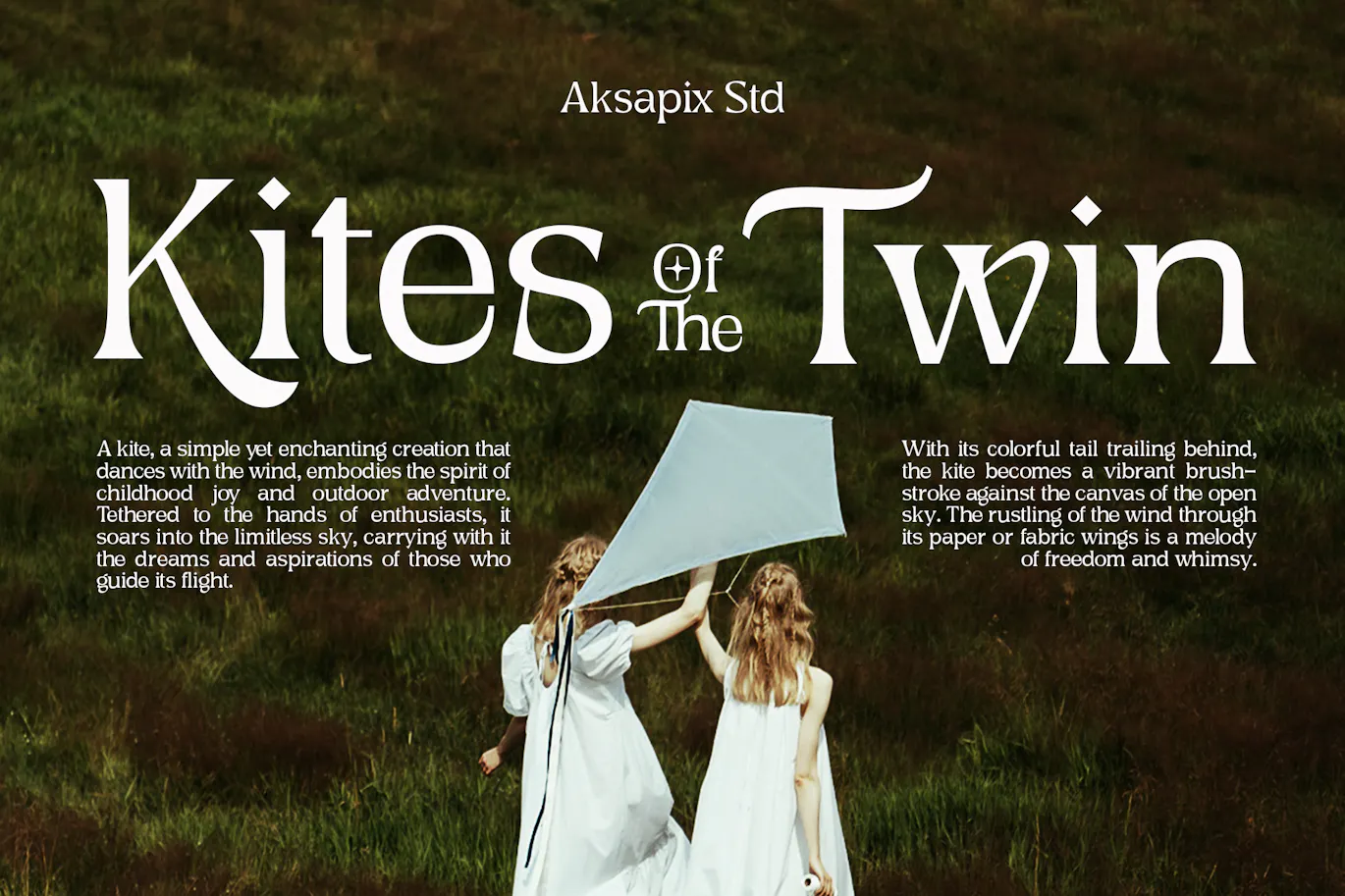 非常的精致优美可用于贺卡设计的英文字体 Ghiena - Display Serif Typeface