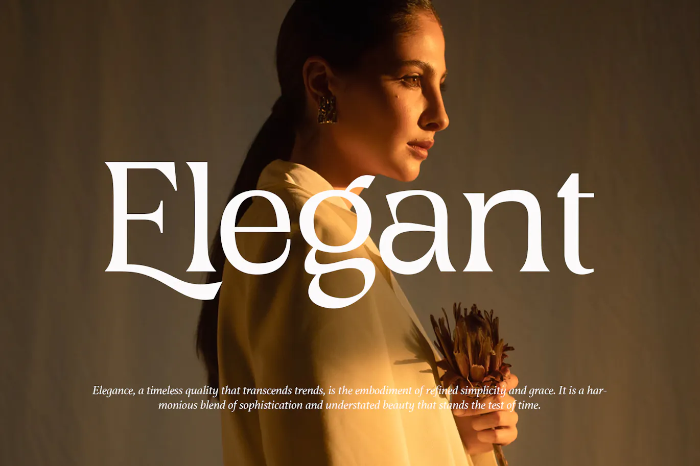 非常的精致优美可用于贺卡设计的英文字体 Ghiena - Display Serif Typeface