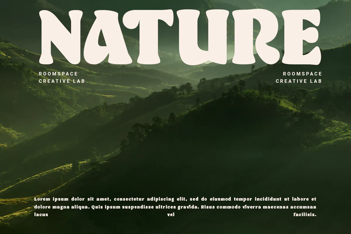 经典复古衬线风格的完美英文字体 - Roflake Boldly Vintage Style Font-1 经典复古衬线风格的完美英文字体 - Roflake Boldly Vintage Style Font