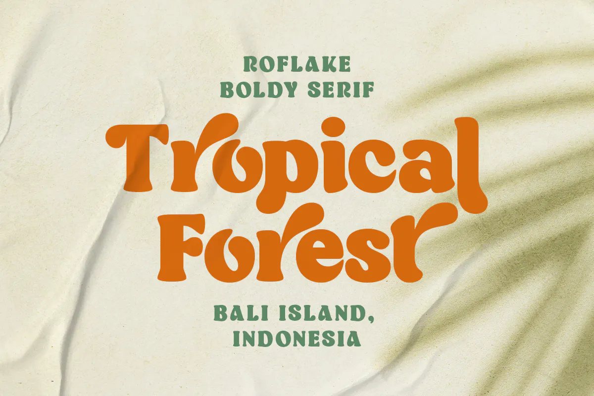 经典复古衬线风格的完美英文字体 - Roflake Boldly Vintage Style Font-10 经典复古衬线风格的完美英文字体 - Roflake Boldly Vintage Style Font