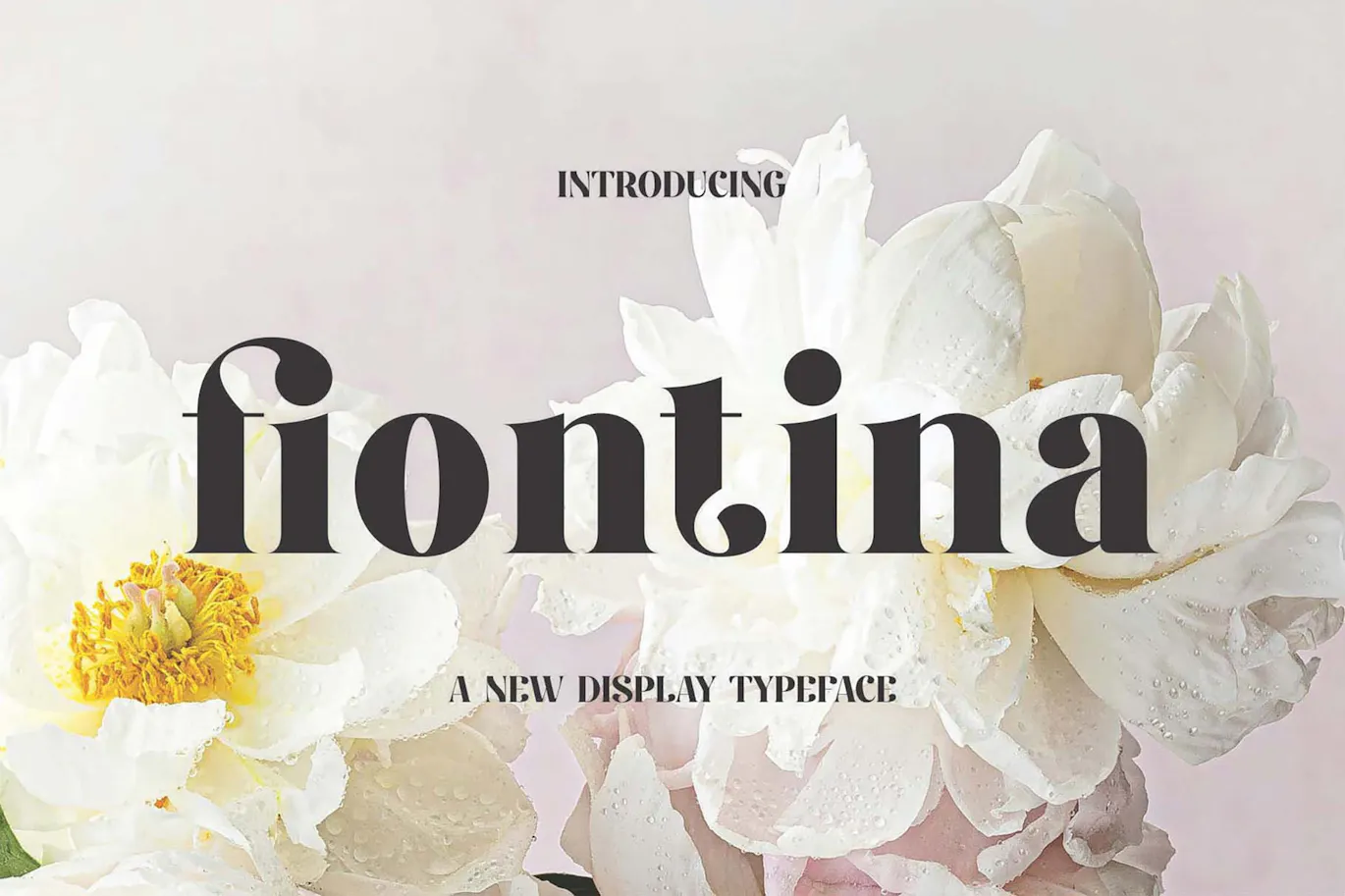 独特且非常优雅的英文字体 – Fiontina Display Typeface Font