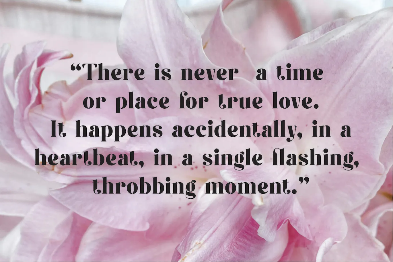 独特且非常优雅的英文字体 - Fiontina Display Typeface Font