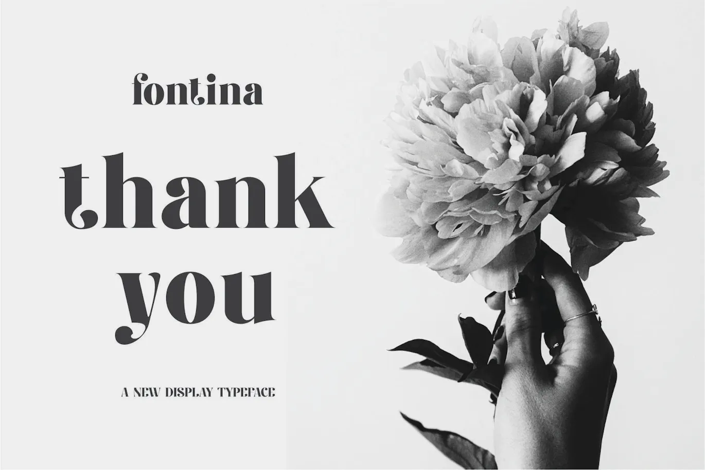 独特且非常优雅的英文字体 - Fiontina Display Typeface Font