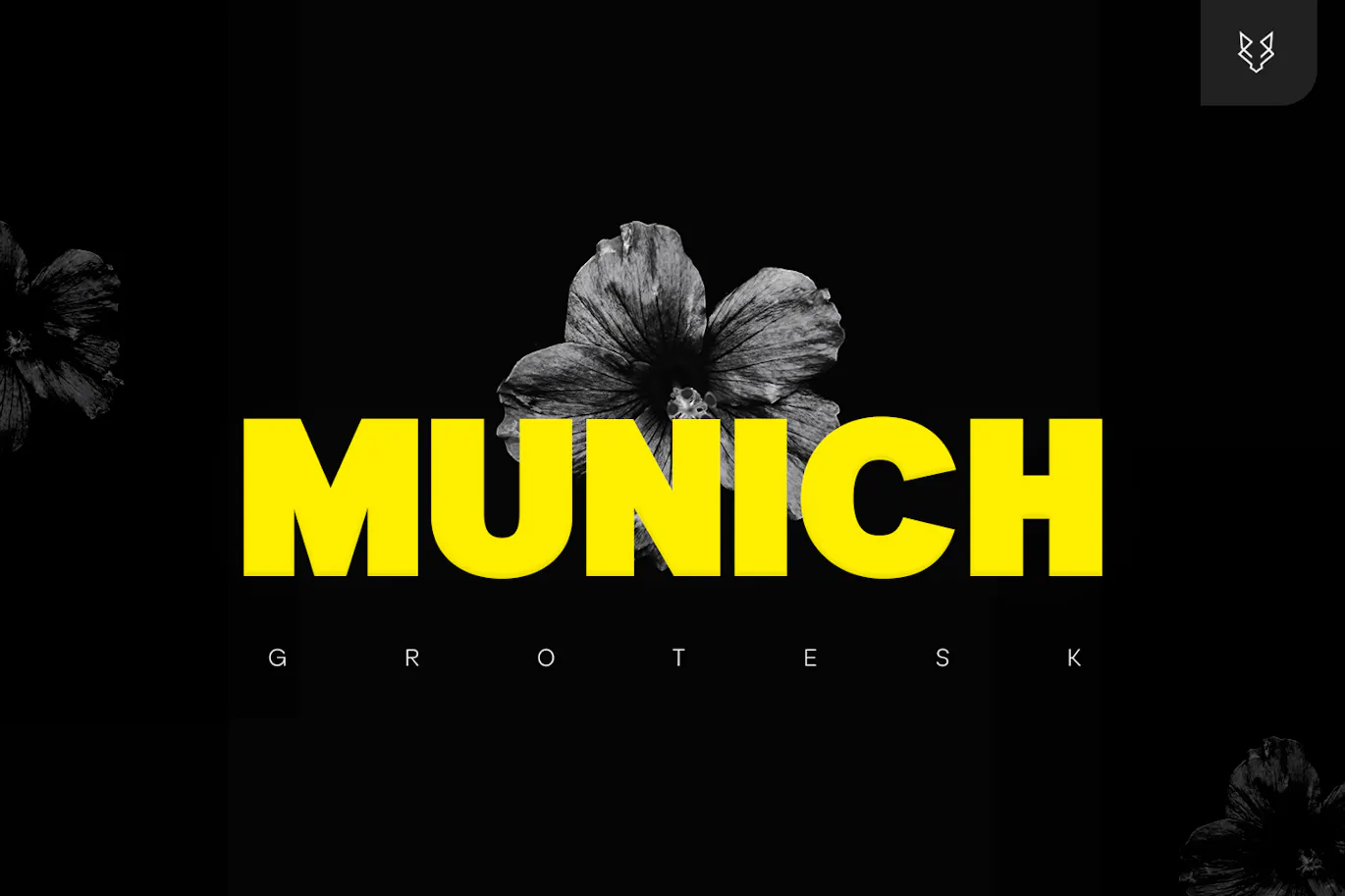 超实用的一款英文字体 – Munich Pro Display Typeface