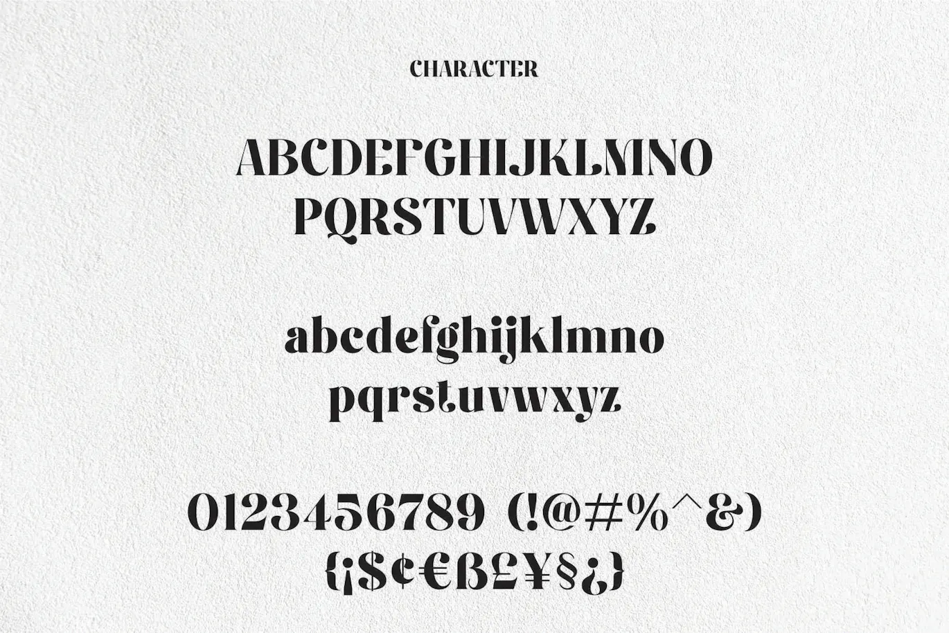 独特且非常优雅的英文字体 - Fiontina Display Typeface Font