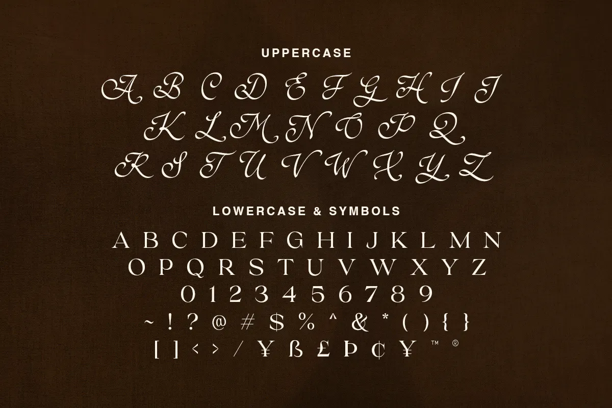 时尚和现代的外观组合英文衬线字体 Brown Royal - Stylish Ligature Font