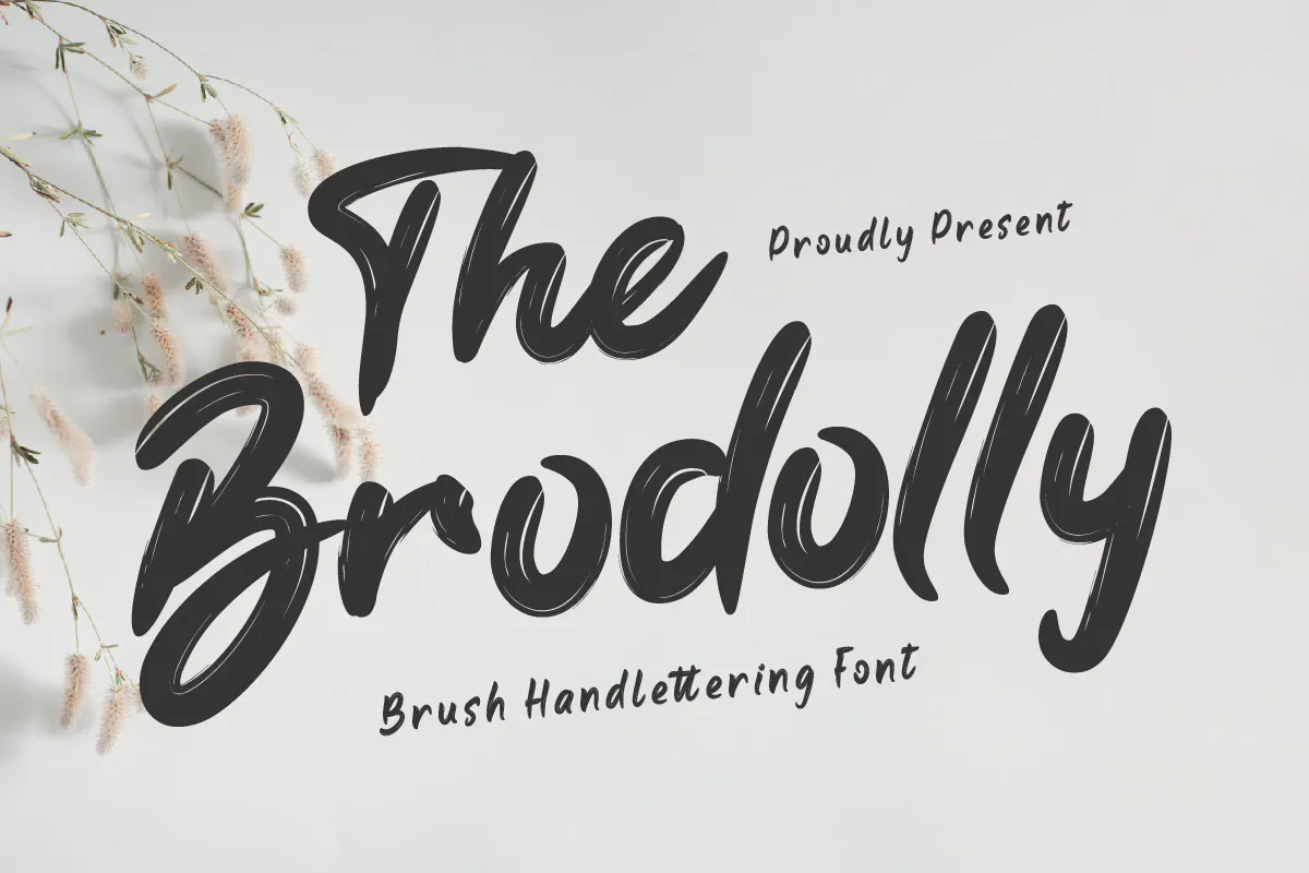 休闲优雅的英文手写字体 the Brodolly - Brush Handwritten Font