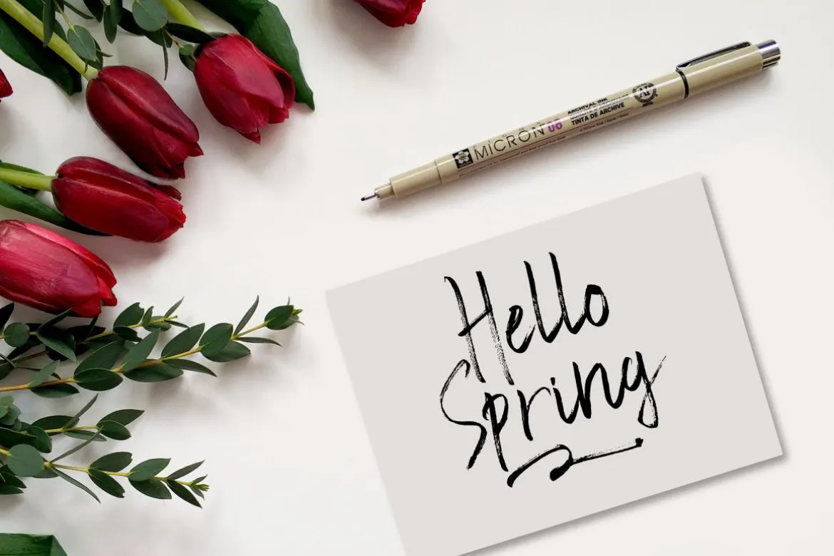 令人惊叹的手写签名风格英文字体 – Broken Brush