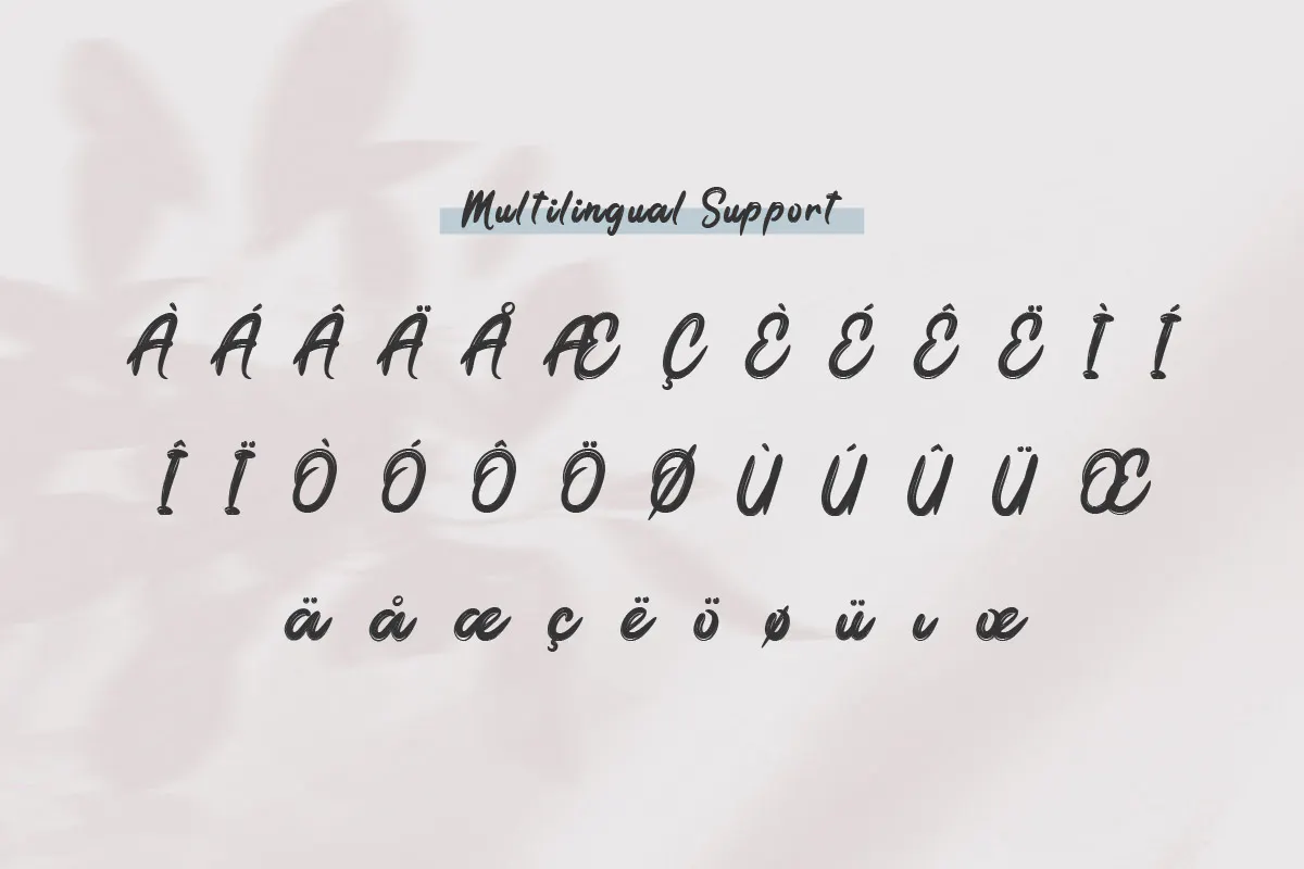 休闲优雅的英文手写字体 the Brodolly - Brush Handwritten Font