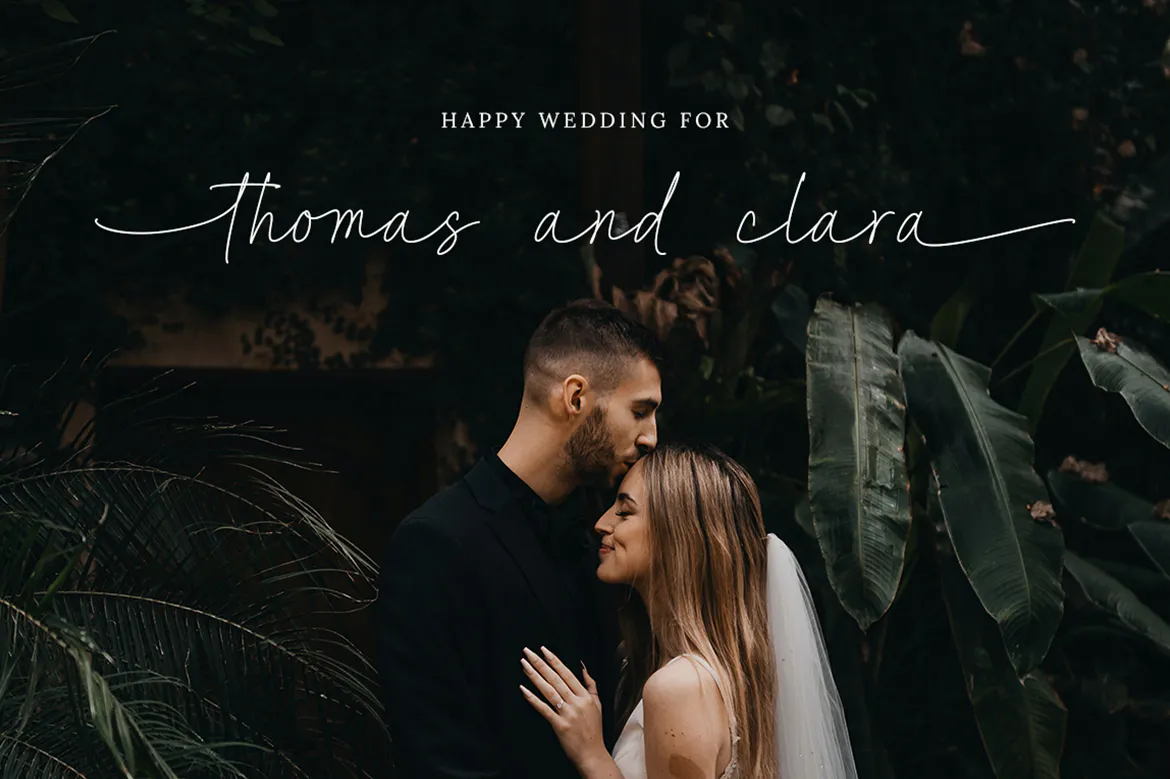 现代优雅豪华感手写签名英文字体 Fashionista - A Connected Script-2 现代优雅豪华感手写签名英文字体 Fashionista - A Connected Script