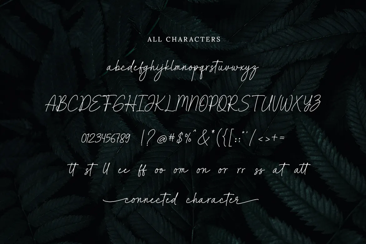 现代优雅豪华感手写签名英文字体 Fashionista - A Connected Script-5 现代优雅豪华感手写签名英文字体 Fashionista - A Connected Script