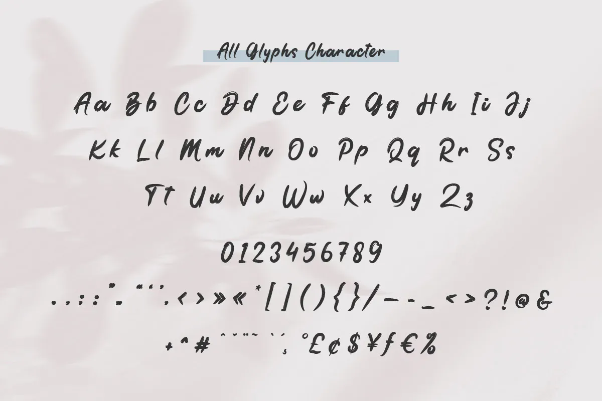 休闲优雅的英文手写字体 the Brodolly - Brush Handwritten Font