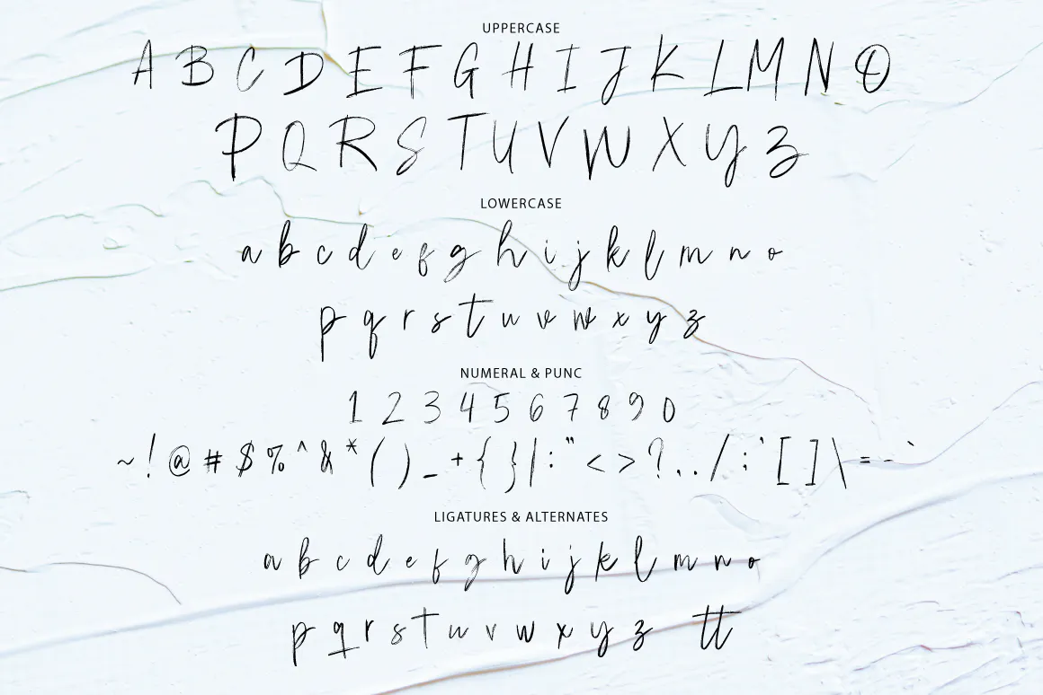 漂亮的英文手写签名字体 Emoray - Signature Brush