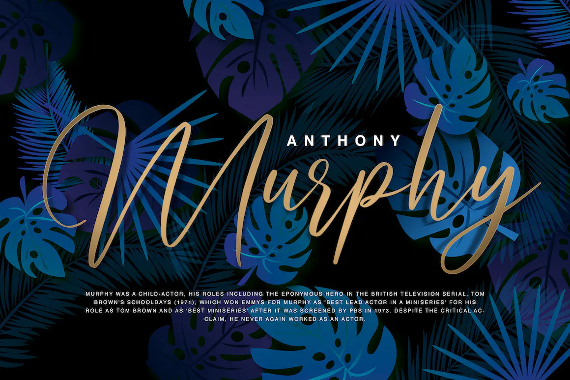 优雅的手写徽标字体 - Arthemis Script - Logo Font