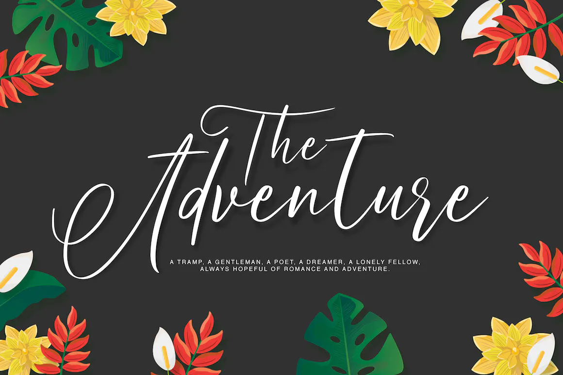 优雅的手写徽标字体 - Arthemis Script - Logo Font