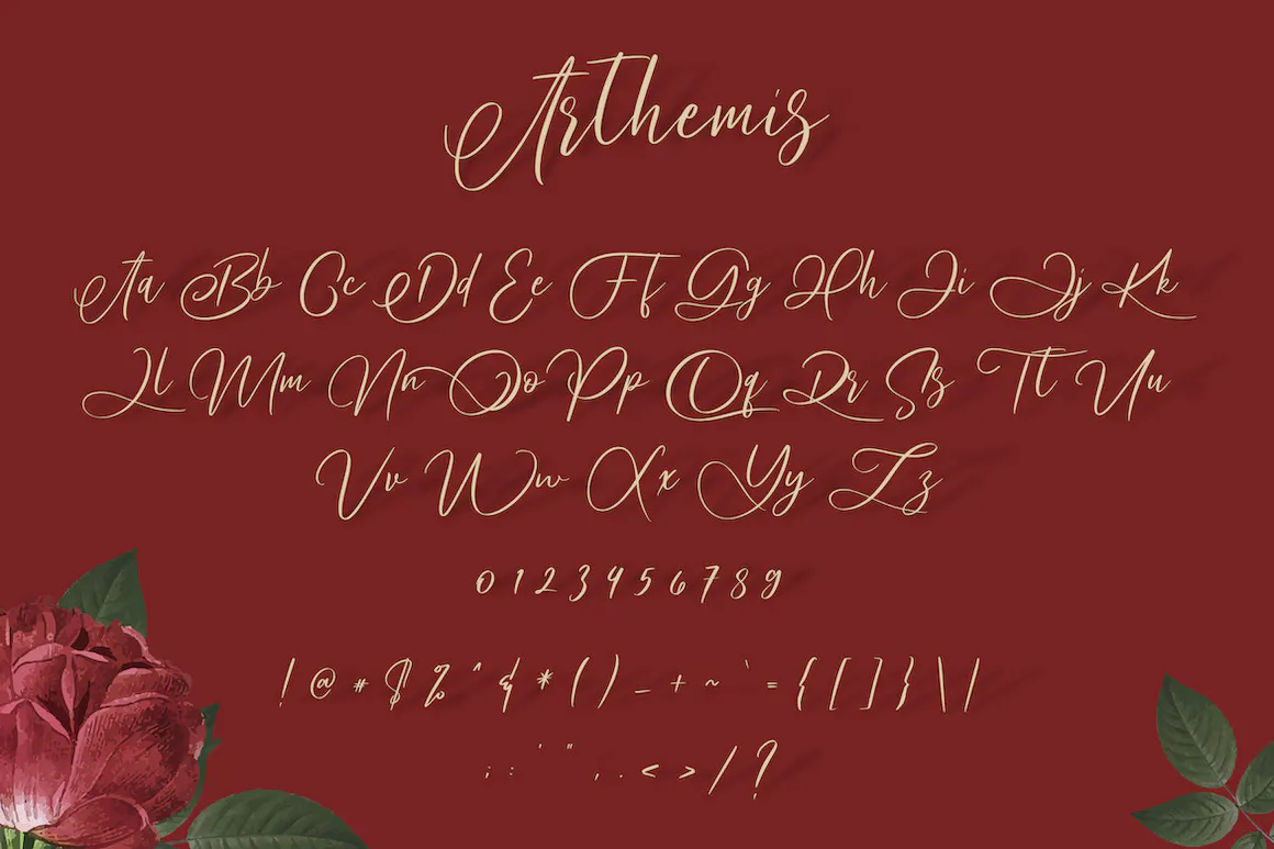 优雅的手写徽标字体 - Arthemis Script - Logo Font