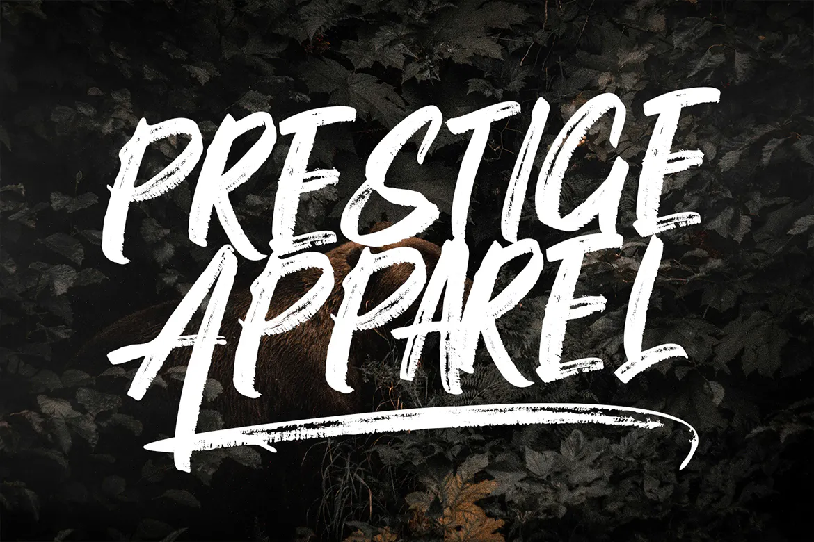 粗糙仿旧元素的英文手写笔刷字体 - Foreclosure - Brush Font