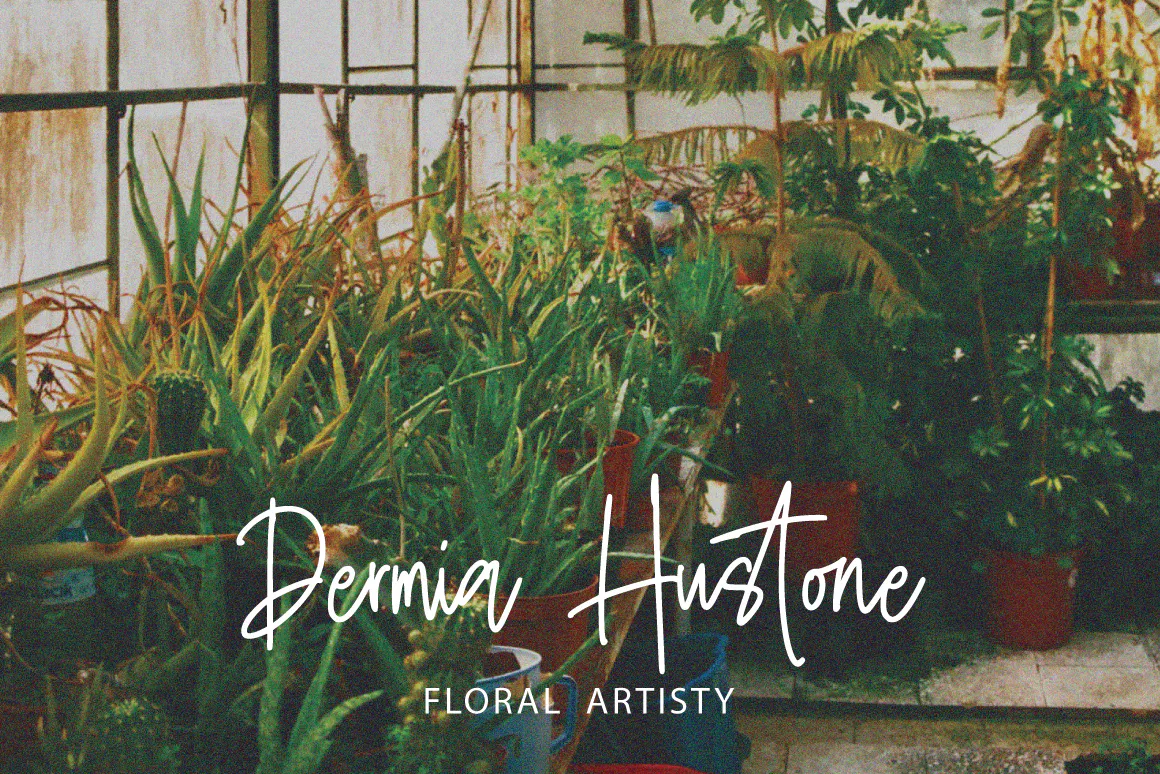 非常漂亮的英文手写签名字体 - Geppista-7 非常漂亮的英文手写签名字体 - Geppista