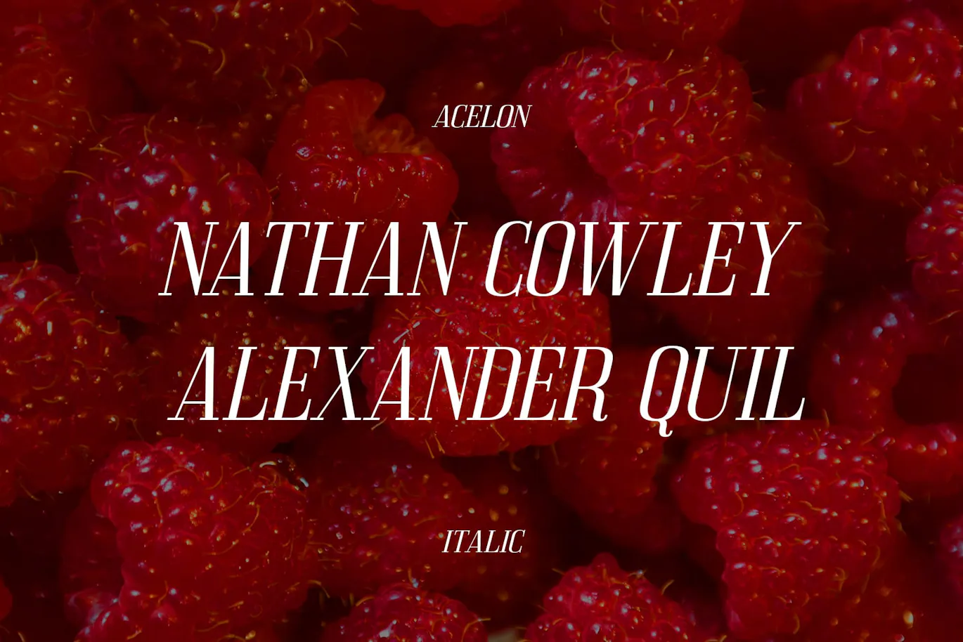 简洁的英文Condensed窄体衬线字体 - Acelo