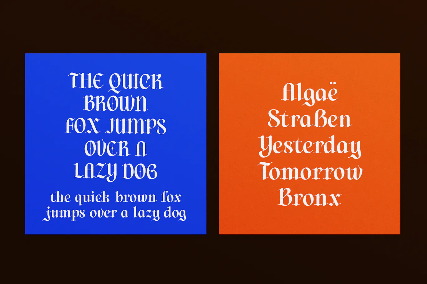 优雅现代风格的哥特手写英文字体 - Diences