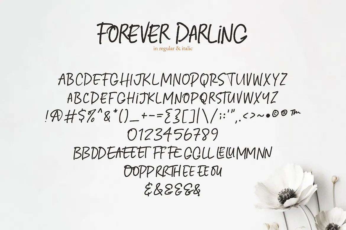 纹理斜体的英文有机手写字体 - Forever Darling