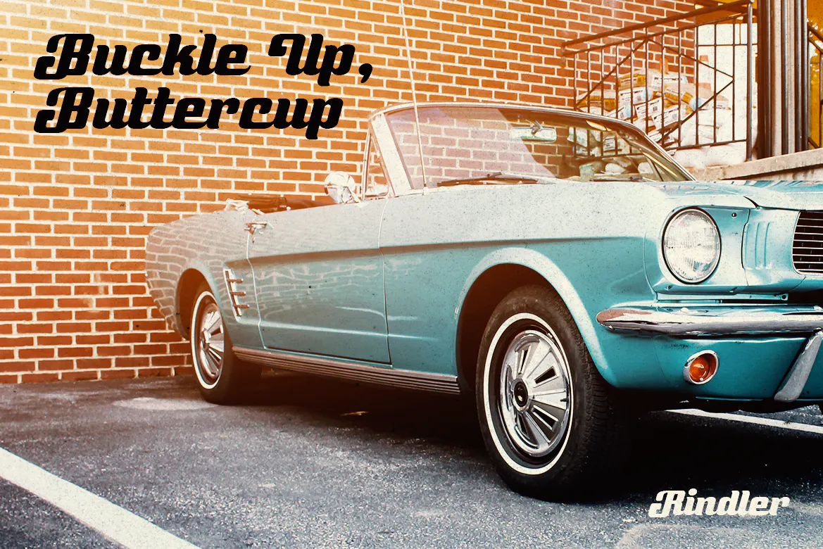 优雅粗画笔复古的汽车标志英文连字字体 - Rindler