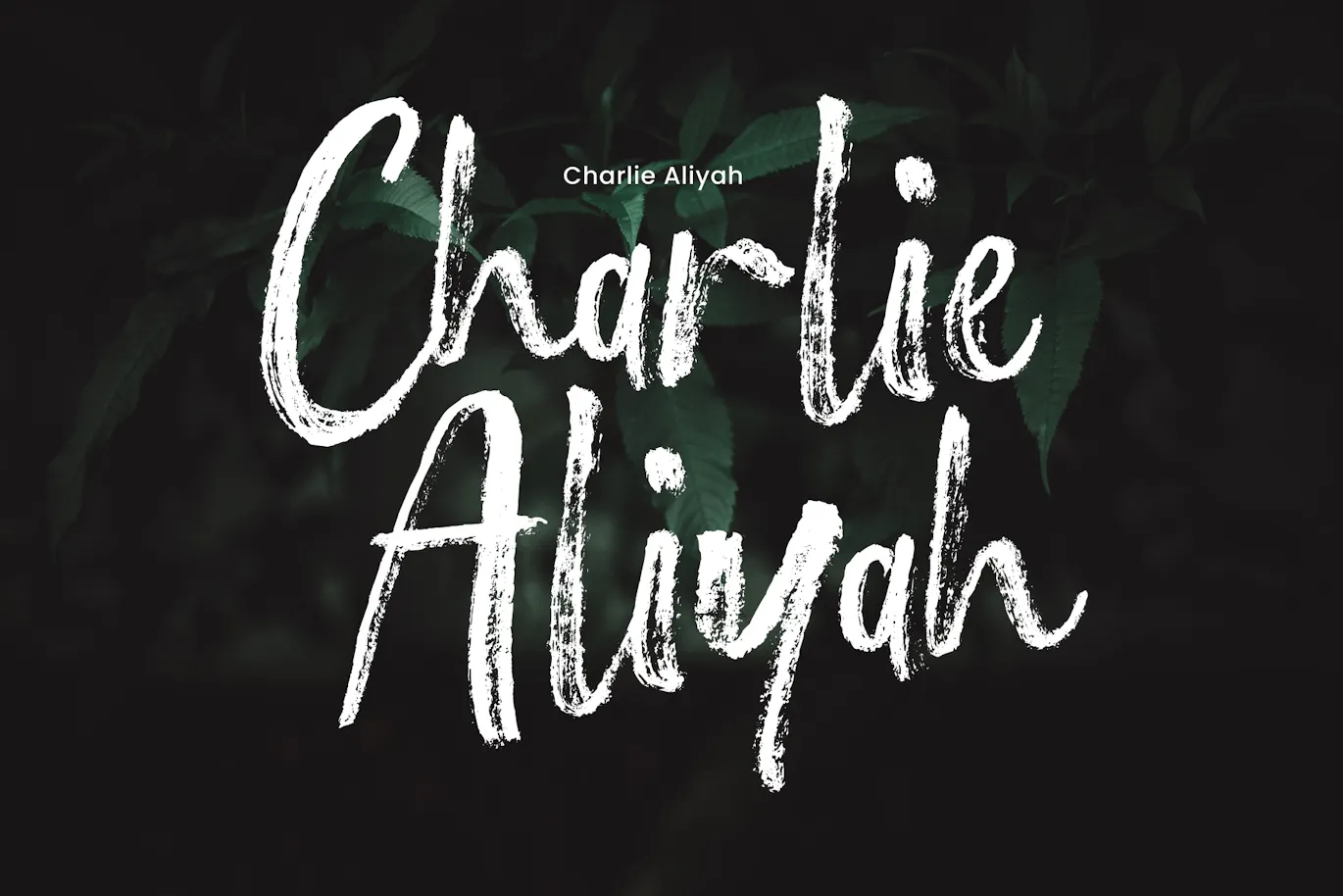 粗糙画笔的英文手写笔刷字体 – Lashville