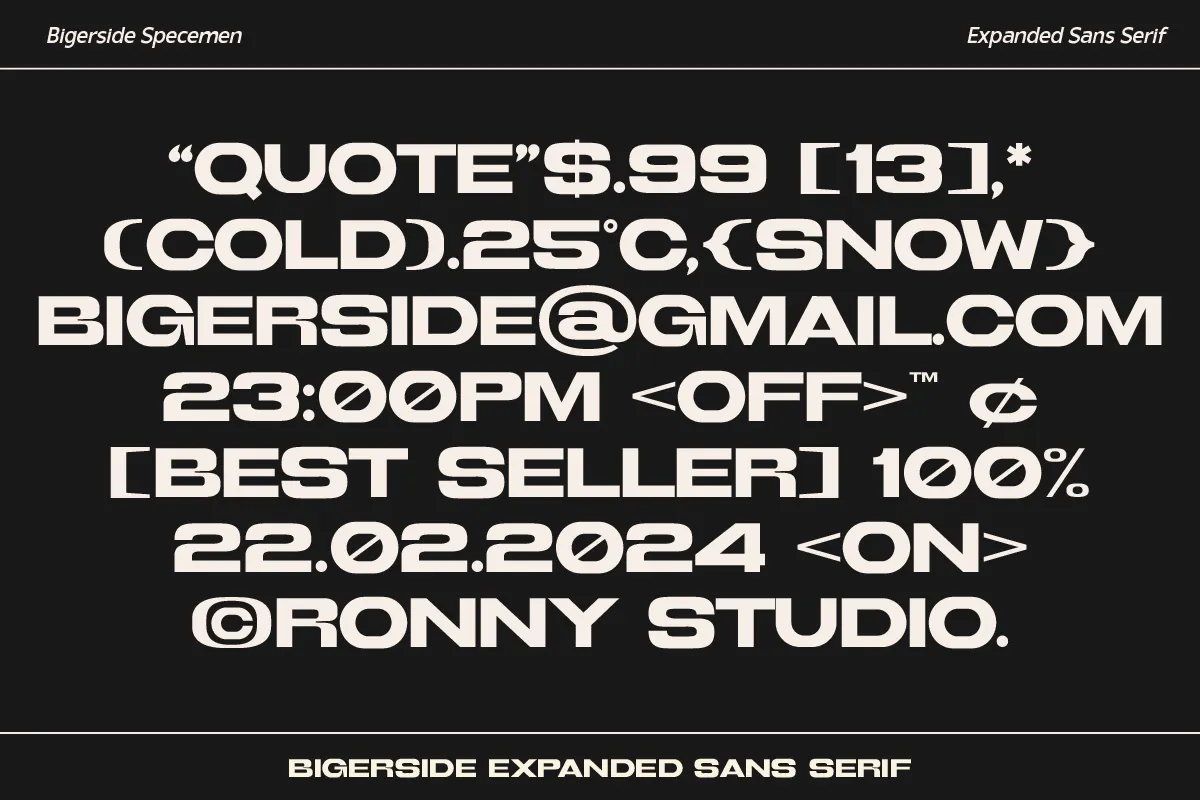 品牌推广宣传海报无衬线字体 - Bigerside-3 品牌推广宣传海报无衬线字体 - Bigerside