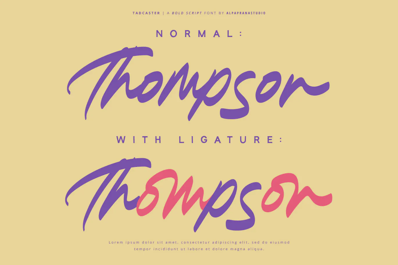 现代自然感的英文手写粗体字体 - Tadcaster-2 现代自然感的英文手写粗体字体 - Tadcaster