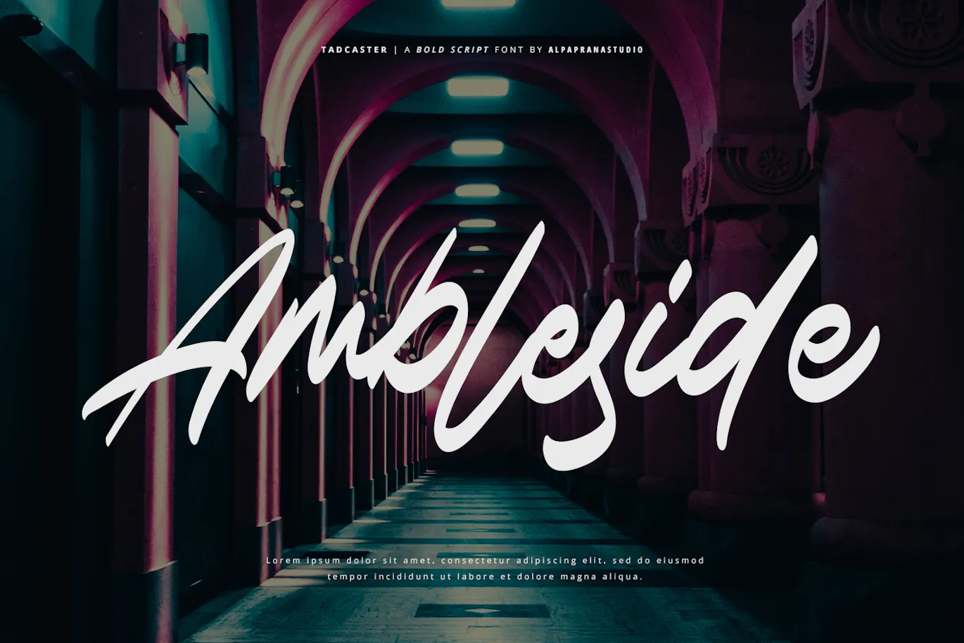 现代自然感的英文手写粗体字体 - Tadcaster-5 现代自然感的英文手写粗体字体 - Tadcaster