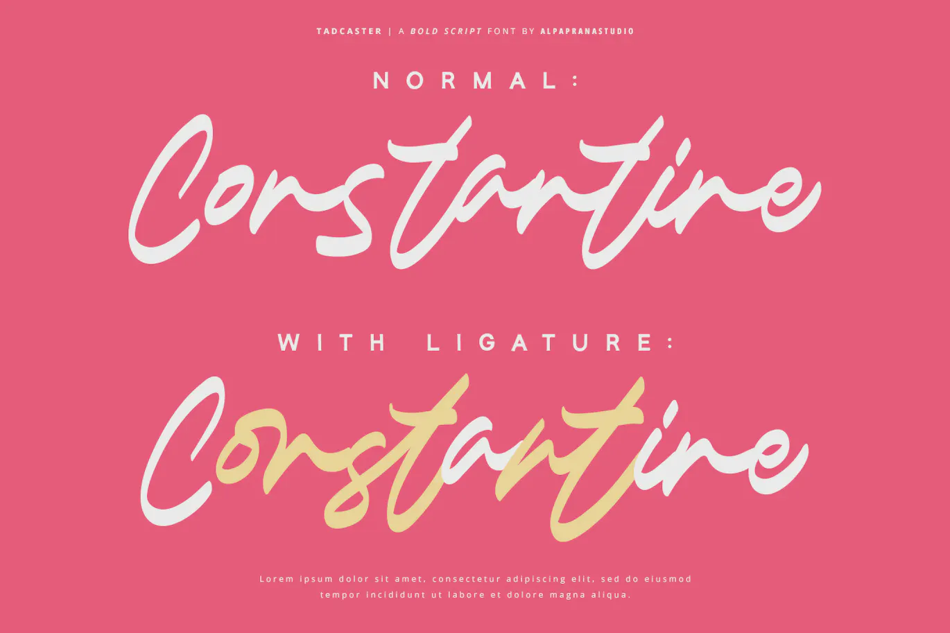 现代自然感的英文手写粗体字体 - Tadcaster-7 现代自然感的英文手写粗体字体 - Tadcaster