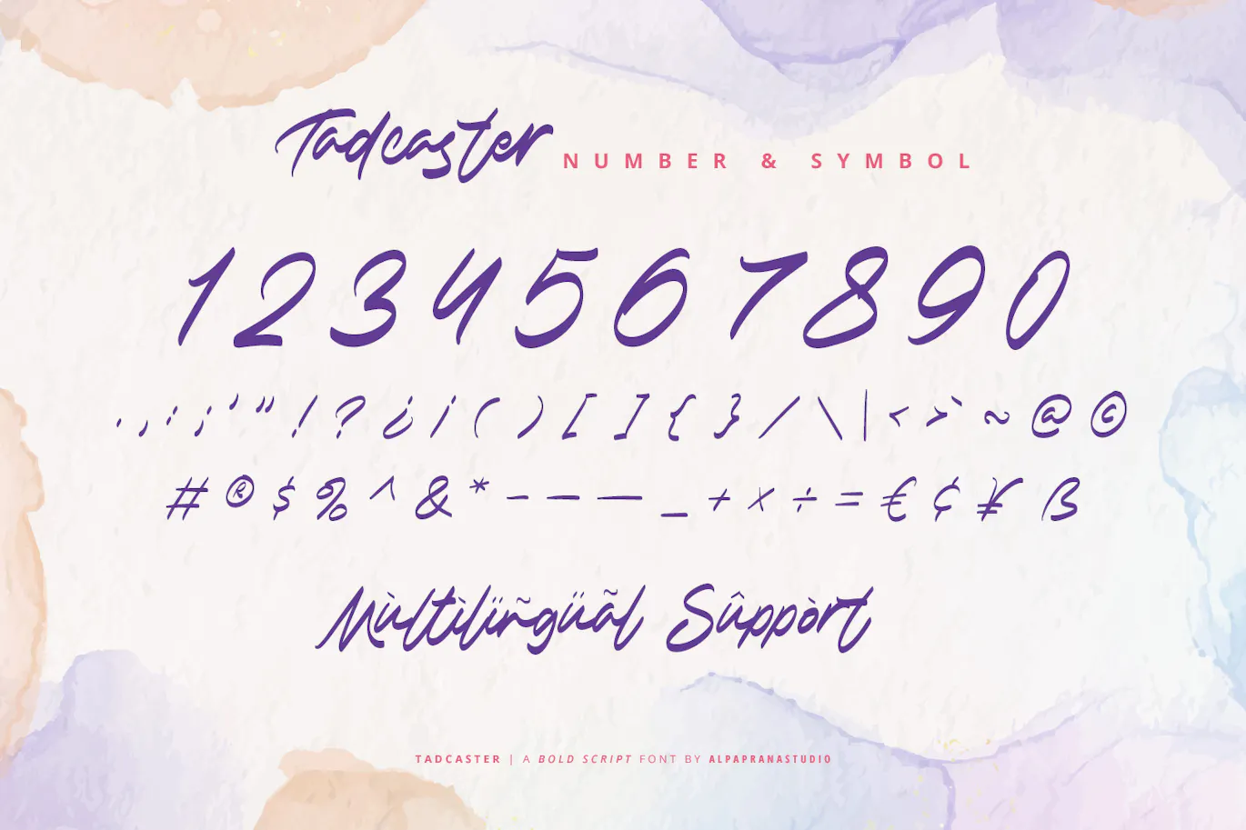 现代自然感的英文手写粗体字体 - Tadcaster-9 现代自然感的英文手写粗体字体 - Tadcaster