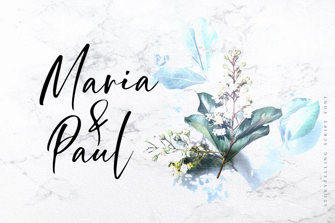 海报设计英文手写书法奢华字体_Storytelling