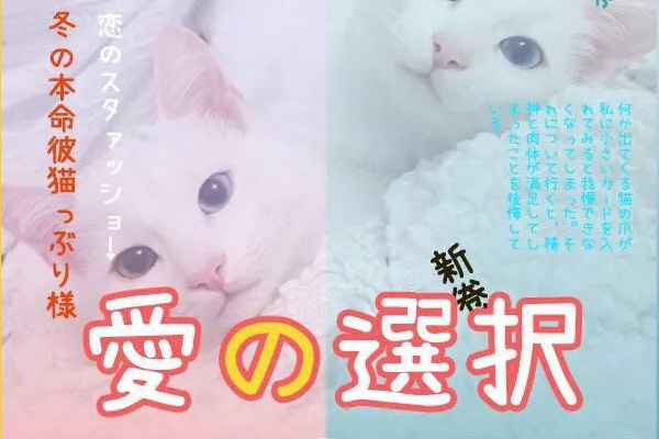 濑户字体 - 一款来自日本的呆萌可爱免费商用字体-2 濑户字体 - 一款来自日本的呆萌可爱免费商用字体