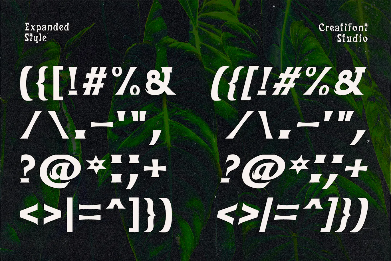 风格精美捕捉新艺术运动精髓的英文字体 - Kataleya