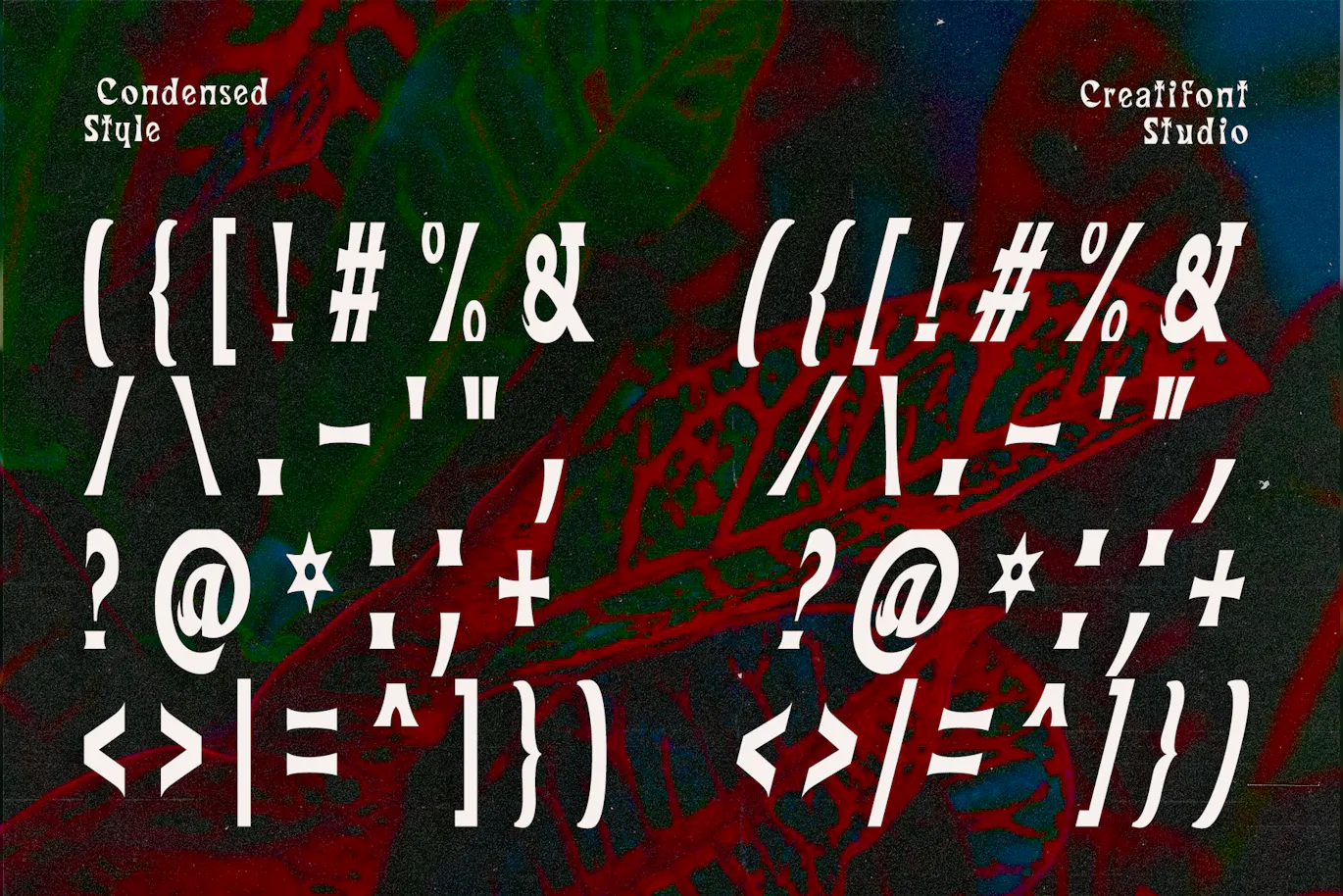 风格精美捕捉新艺术运动精髓的英文字体 - Kataleya