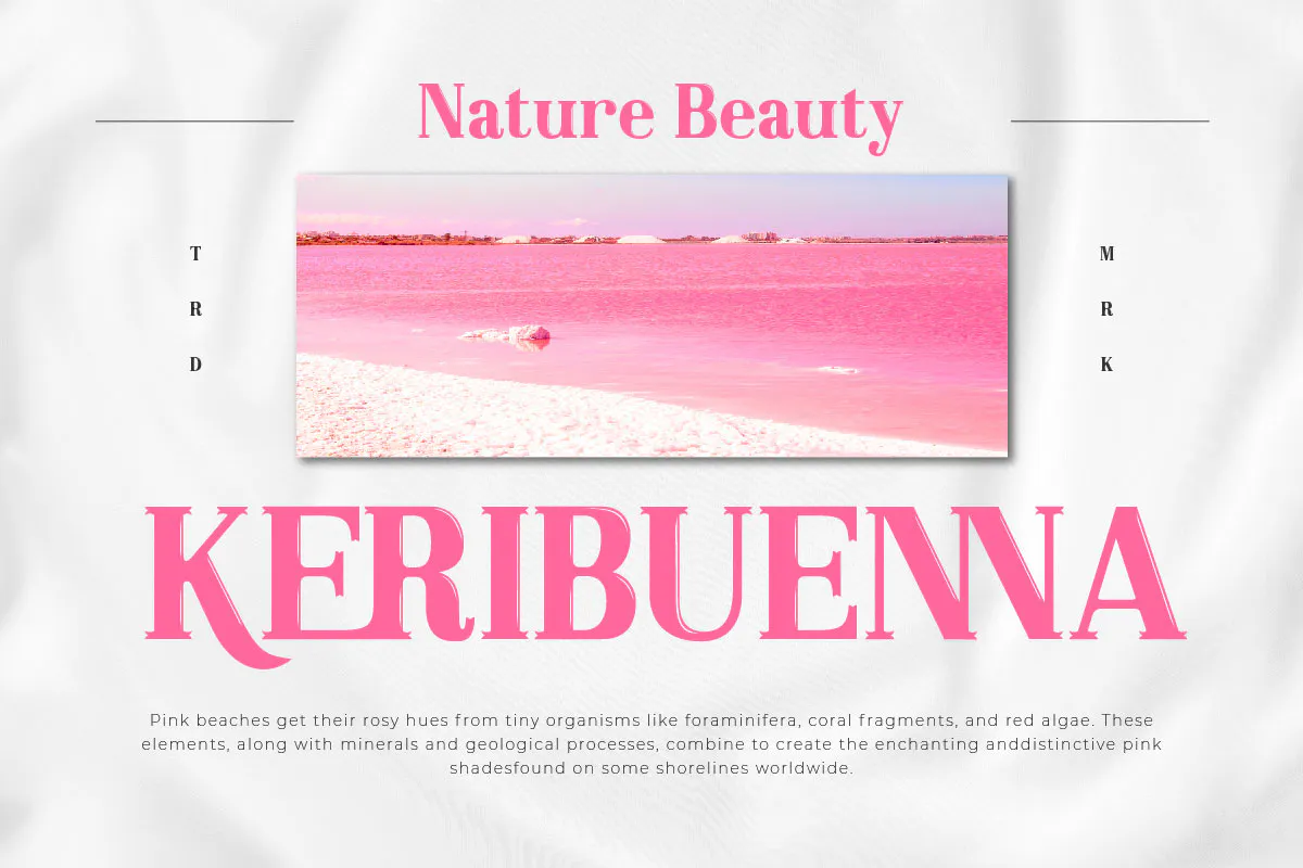 优雅奢华商品海报设计英文衬线字体 - Broseki Serif Display Font